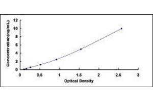 Poliovirus Receptor-Related 1 (Herpesvirus Entry Mediator C) (PVRL1) ELISA Kit