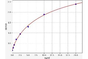 KIF5A ELISA Kit