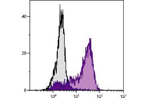 Con-A and IL-2 stimulated BALB/c mouse splenocytes were stained with  Hamster Anti-Mouse CD152-FITC. (CTLA4 antibody  (Biotin))