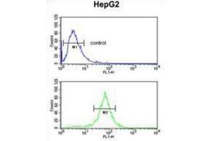 Flow Cytometry (FACS) image for anti-Ubiquitin Associated Protein 1 (UBAP1) antibody (ABIN3003932) (UBAP1 antibody)