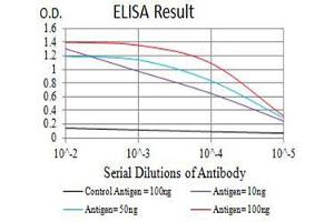 Black line: Control Antigen (100 ng),Purple line: Antigen (10 ng), Blue line: Antigen (50 ng), Red line:Antigen (100 ng) (P2RY1 antibody)