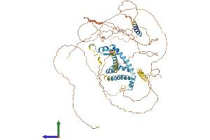 AlphaFold protein structure predicition of Human Recombinant AKAP8 Protein, UniprotID O43823 (AKAP8 Protein (AA 1-692) (His tag))