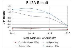 Red: Control Antigen (100 ng), Purple: Antigen (10 ng), Green: Antigen (50 ng), Blue: Antigen (100 ng), (FGG antibody)