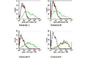 BOSC cells were transiently transfected with expression vectors for Granzyme A, B, K, or M. (GZMK antibody)