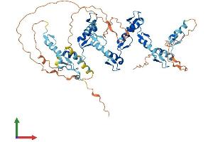Protein Structure (PS) image for Zinc Finger Protein 460 (ZNF460) (AA 1-562) protein (His tag) (ABIN7545555)