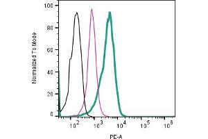 Cell surface detection of CD81 by direct flow cytometry in live intact human  MG glioblastoma cell line: + Rabbit IgG Isotype Control-PE (ABIN7582046). (CD81 antibody  (Extracellular) (PE))