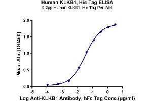 Immobilized Human KLKB1, His Tag at 2 μg/mL (100 μL/well) on the plate.
