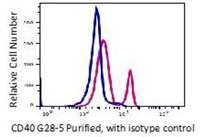 Flow Cytometry (FACS) image for anti-CD40 (CD40) antibody (ABIN6253105) (CD40 antibody)