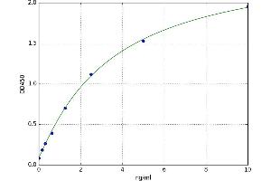 A typical standard curve