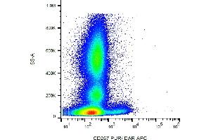 Flow cytometry analysis (surface staining) of human peripheral blood with anti-human CD267 (1A1) purified, DAR-APC. (TACI antibody)