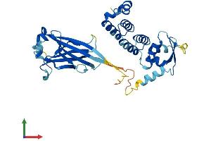 AlphaFold protein structure predicition of Mouse Recombinant Tdpoz5 Protein, UniprotID Q6YCH1