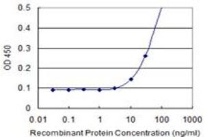 Detection limit for recombinant GST tagged EXOSC5 is 3 ng/ml as a capture antibody. (EXOSC5 antibody  (AA 1-100))