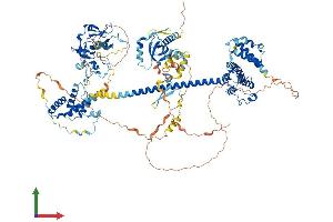 Protein Structure (PS) image for Bromodomain Containing 1 (BRD1) (AA 1-1058) protein (His tag) (ABIN7552743)