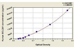 Typical standard curve (BCL2A1 ELISA Kit)