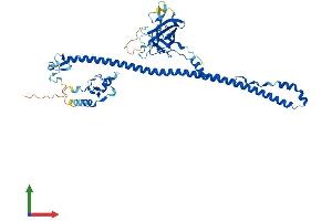 Protein Structure (PS) image for Tripartite Motif Containing 35 (TRIM35) (AA 1-493) protein (His tag) (ABIN7544624)