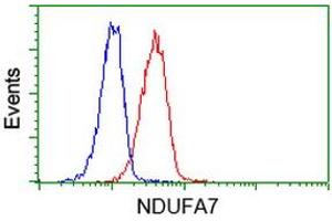 Image no. 2 for anti-NADH Dehydrogenase (Ubiquinone) 1 alpha Subcomplex, 7, 14.5kDa (NDUFA7) antibody (ABIN1499663)