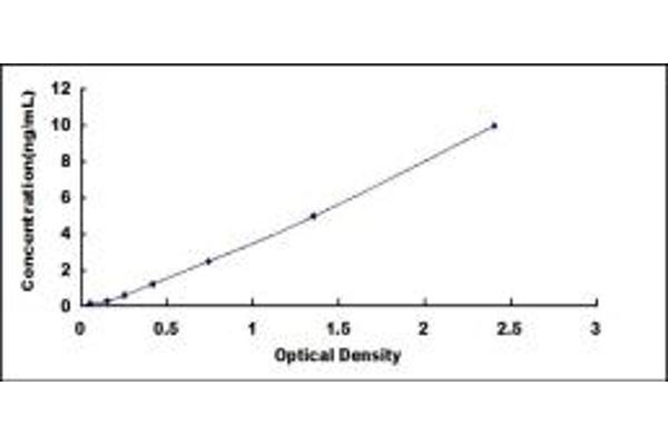 CSF3R ELISA Kit