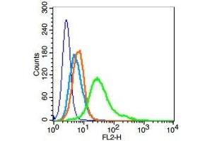 Human Hela cells probed with Geminin Polyclonal Antibody, Unconjugated  (green) at 1:100 for 30 minutes followed by a PE conjugated secondary antibody compared to unstained cells (blue), secondary only (light blue), and isotype control (orange). (Geminin antibody  (AA 110-142))