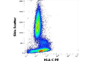 Flow cytometry surface staining pattern of human peripheral whole blood stained using anti-human HLA-C (DT-9) PE antibody (10 μL reagent / 100 μL of peripheral whole blood). (HLA-C antibody  (PE))