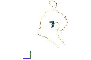 AlphaFold protein structure predicition of Human Recombinant TCEAL2 Protein, UniprotID Q9H3H9 (TCEAL2 Protein (AA 1-227) (His tag))
