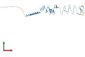 Protein Structure (PS) image for Sarcoglycan, delta (35kDa Dystrophin-Associated Glycoprotein) (SGCD) (AA 1-289) protein (His tag) (ABIN7546163)