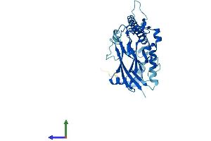 AlphaFold protein structure predicition of Mouse Recombinant Atp1b2 Protein, UniprotID P14231 (ATP1B2 Protein (AA 1-290) (His tag))
