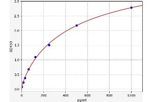 Bone Morphogenetic Protein 7 (BMP7) ELISA Kit