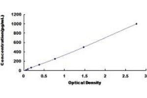 Typical standard curve (HSPB2 ELISA Kit)