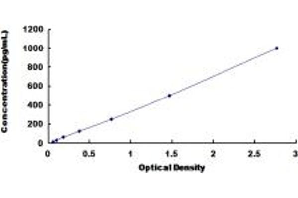 HSPB2 ELISA Kit
