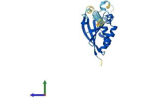 Protein Structure (PS) image for PPPDE Peptidase Domain Containing 1 (PPPDE1) (AA 1-194) protein (His tag) (ABIN7547000)