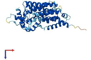 AlphaFold protein structure predicition of Mouse Recombinant G6pc2 Protein, UniprotID Q9Z186 (G6PC2 Protein (AA 1-355) (His tag))