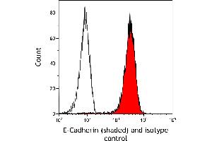 Flow Cytometry (FACS) image for anti-Cadherin 1, Type 1, E-Cadherin (Epithelial) (CDH1) (AA 155-707) antibody (ABIN7454024)