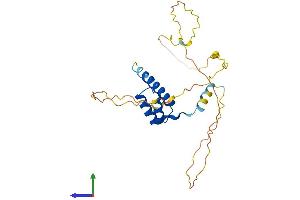 AlphaFold protein structure predicition of Mouse Recombinant Hoxc9 Protein, UniprotID P09633