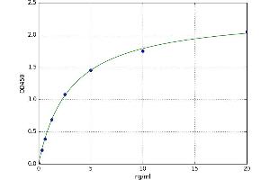 Tenascin N (TNN) ELISA Kit