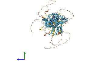 AlphaFold protein structure predicition of Mouse Recombinant Slc4a7 Protein, UniprotID Q8BTY2