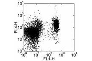Image no. 1 for anti-Chemokine (C-C Motif) Receptor 7 (CCR7) antibody (APC) (ABIN476418) (CCR7 antibody  (APC))