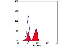 Staining of permeabilized, human peripheral blood lymphocytes with Rat anti Human CD3 (ABIN119451). (CD3 antibody  (Cytoplasmic Domain))