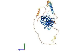 AlphaFold protein structure predicition of Mouse Recombinant Syt6 Protein, UniprotID Q9R0N8 (SYT6 Protein (AA 1-511) (His tag))