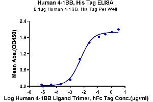 Immobilized Human 4-1BB, His Tag at 1 μg/mL (100 μL/Well) on the plate. (CD137 Protein (AA 24-186) (His tag))
