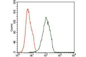 Flow cytometric analysis of Jurkat cells using ILK mouse mAb (green) and negative control (red). (ILK antibody  (AA 97-244))