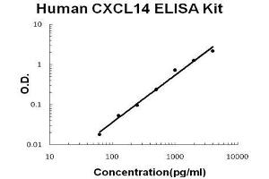 Human CXCL14 PicoKine ELISA Kit standard curve