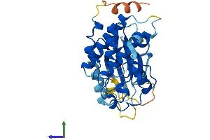 AlphaFold protein structure predicition of Human Recombinant CDK3 Protein, UniprotID Q00526 (CDK3 Protein (AA 1-305) (His tag))