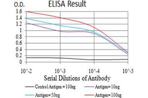 Black line: Control Antigen (100 ng)Purple line: Antigen (10ng) (MAPK10 antibody  (AA 180-329))