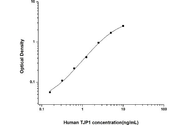 TJP1 ELISA Kit