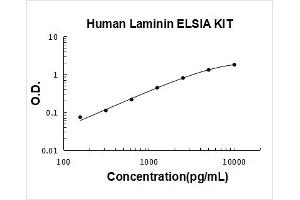 Laminin (LN) ELISA Kit