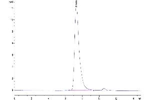 The purity of Biotinylated Cynomolgus MSLN is greater than 95 % as determined by SEC-HPLC. (Mesothelin Protein (MSLN) (AA 406-690) (His tag,Biotin))