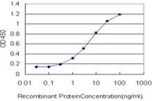 Detection limit for recombinant GST tagged CITED1 is approximately 0. (CITED1 antibody  (AA 94-193))