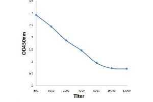 Antigen: 0. (MAPRE2 antibody  (AA 101-200))