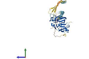 AlphaFold protein structure predicition of Human Recombinant FIBCD1 Protein, UniprotID Q8N539