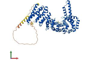 Protein Structure (PS) image for Catenin, beta Like 1 (CTNNBL1) (AA 1-563) protein (His tag) (ABIN7560670)